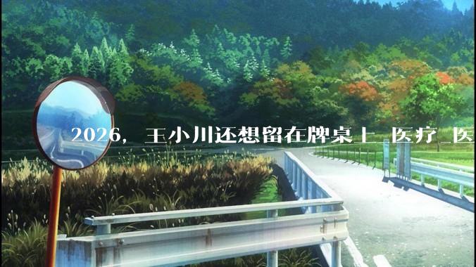 2026，王小川还想留在牌桌上_医疗_医生_诊疗